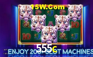 Sistemas de Segurança 555c